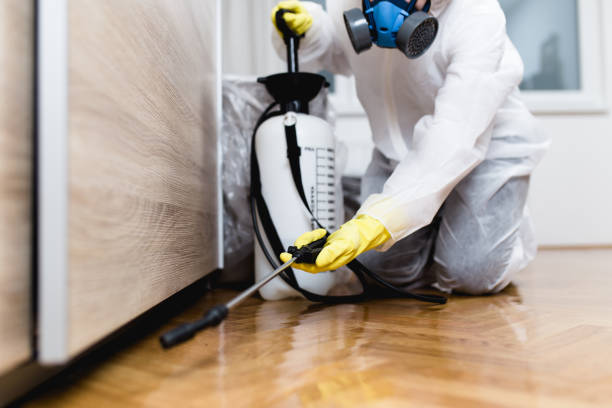 Best Flea Control Services  in Wickerham Manor Fisher, PA