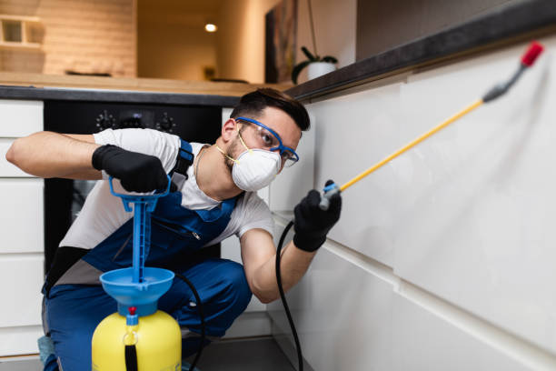 Best Pest Control Near Me in Wickerham Manor Fisher, PA