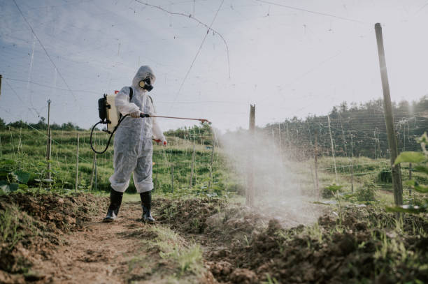 Best Commercial Pest Control Services  in Wickerham Manor Fisher, PA