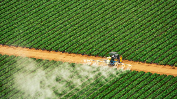 Best Pest Removal Services  in Wickerham Manor Fisher, PA