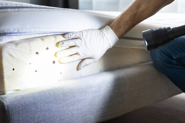 Trusted Wickerham Manor Fisher, PA Pest Control Experts