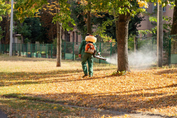 Best Best Pest Control Companies  in Wickerham Manor Fisher, PA